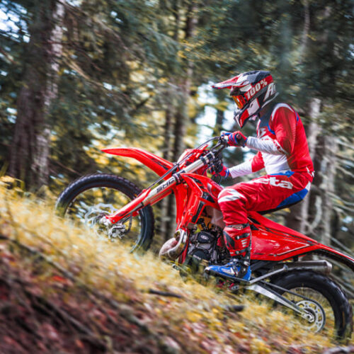 300 RR X-PRO 2-Stroke - Gallery 9